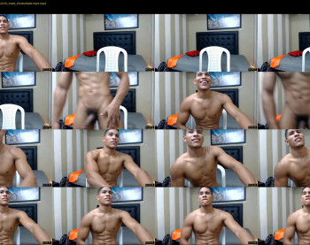 teddyfit19cm