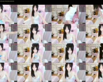 cnmodel