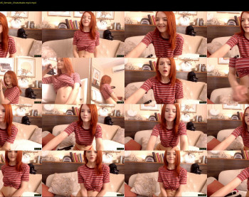 ginger_pie