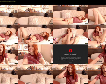 ginger_pie