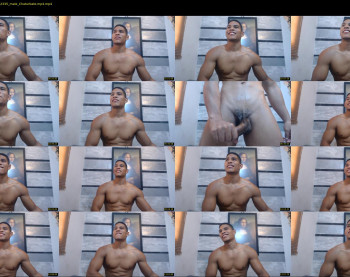 teddyfit19cm