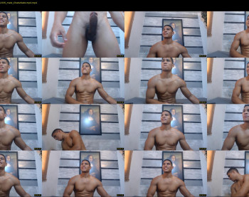 teddyfit19cm