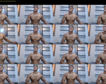 teddyfit19cm