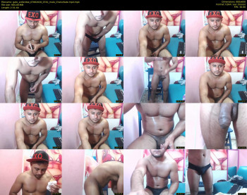 gato_ardientee