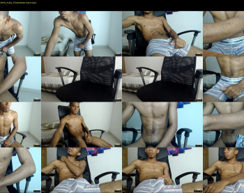 chad_stallion