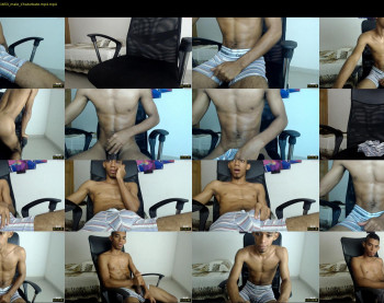 chad_stallion