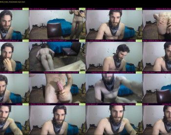 osito_blanco