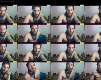 osito_blanco
