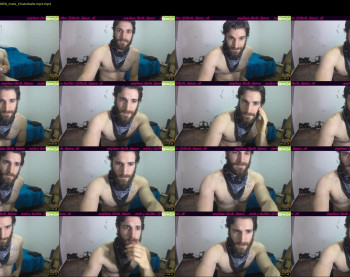 osito_blanco