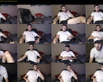 sexual_vibrations