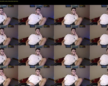 sexual_vibrations