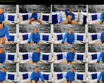 thomaswildd