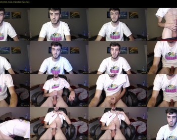 sexual_vibrations