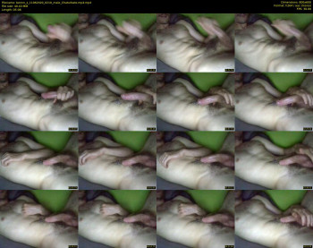 bennn_x