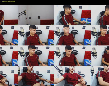 mestymys