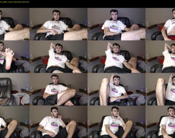 sexual_vibrations