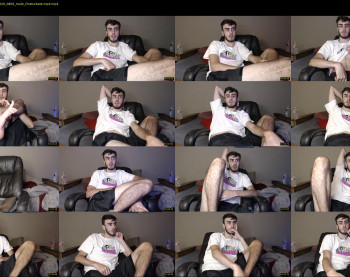 sexual_vibrations
