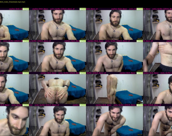 osito_blanco