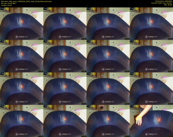 willy_sexy