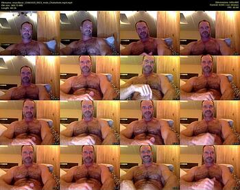 musclbear