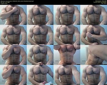 musclesenior