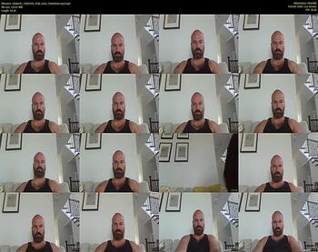 vindee41