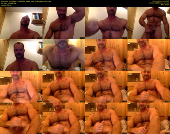 musclbear