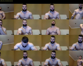 panda_muscle