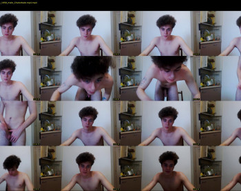 dreamboy_fox
