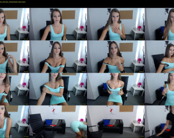 perfectviki