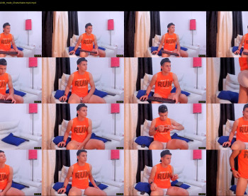 thomaswildd
