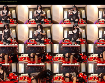 alice_cooperx