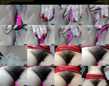 foxy_porn
