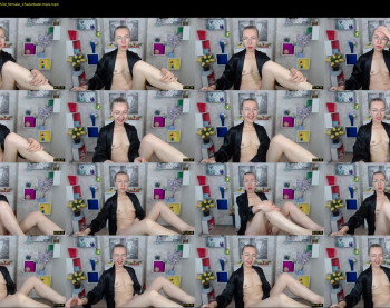 greybunny_