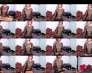 lily_latex