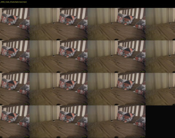 max__show13
