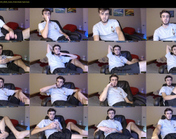sexual_vibrations