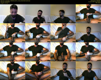 kingcat82