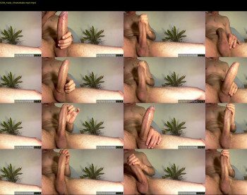lexbigforyou