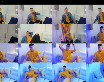 thomaswildd