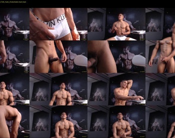 teddyfit19cm