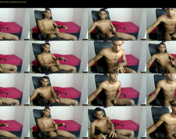 chad_stallion