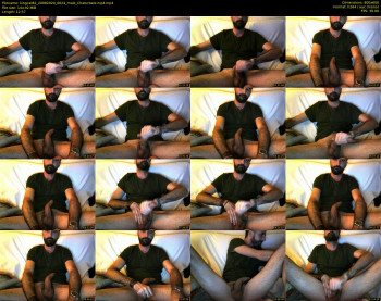 kingcat82