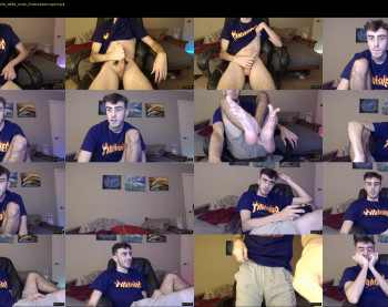 sexual_vibrations
