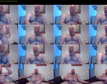 bear_necessity_