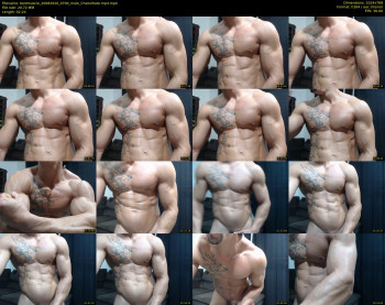bestmuscle