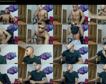 chad_stallion