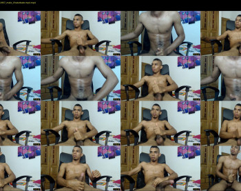 chad_stallion