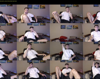 sexual_vibrations