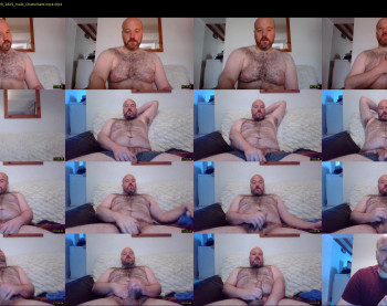 bear_necessity_